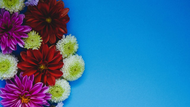 教练战术安 教练战术安