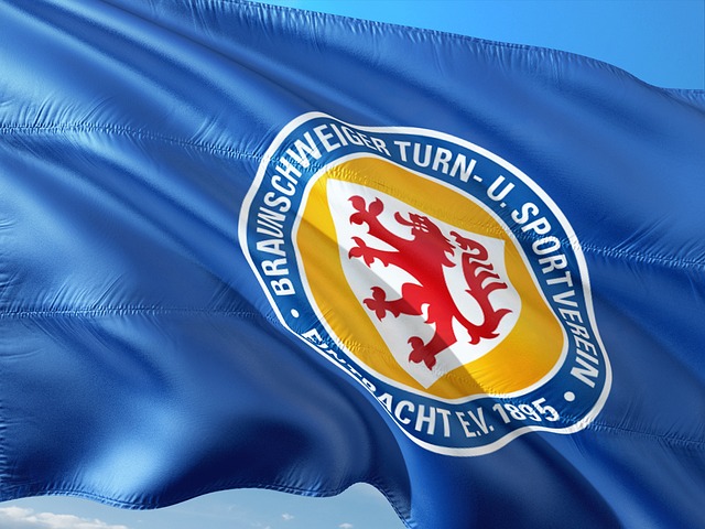 巴斯克斯的 巴斯克斯的