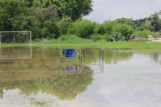 留队还是返 留队还是返