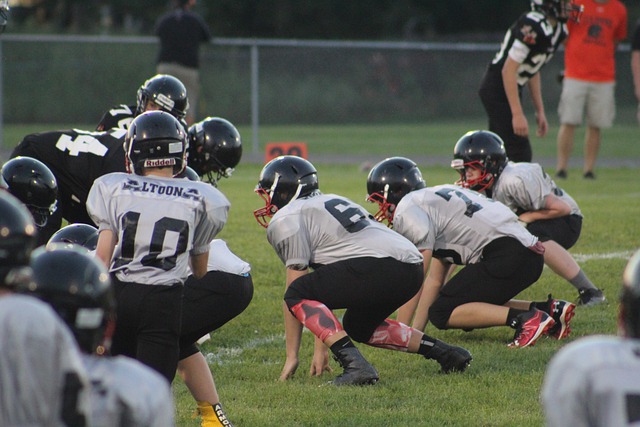 使整个赛事 使整个赛事