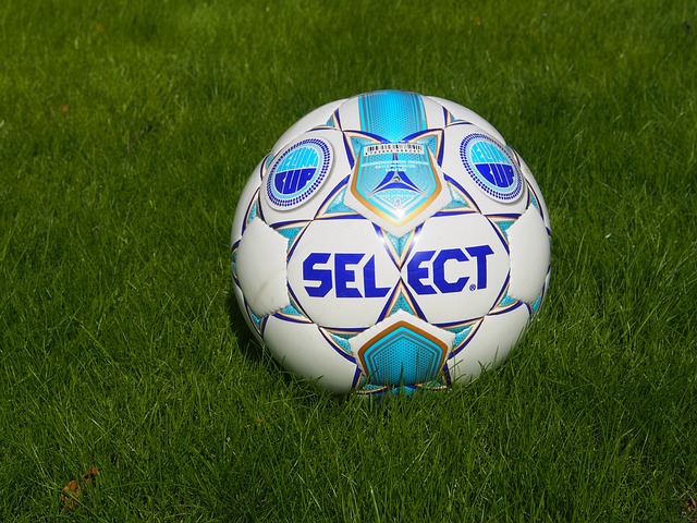 仅在意大利 仅在意大利