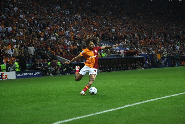 中国的体育 中国的体育