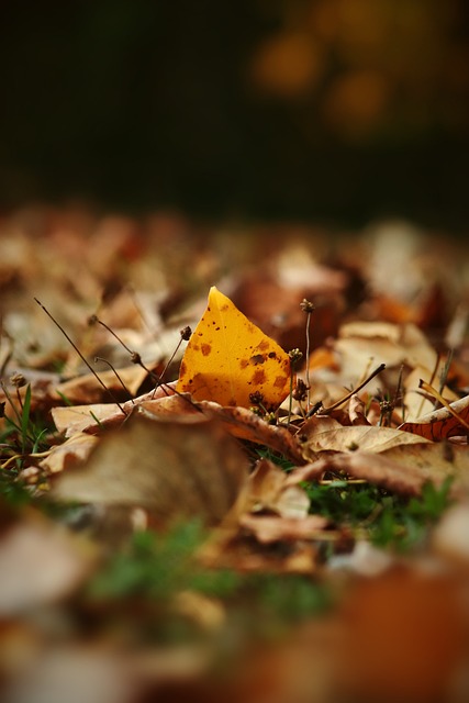 全城的信念 全城的信念