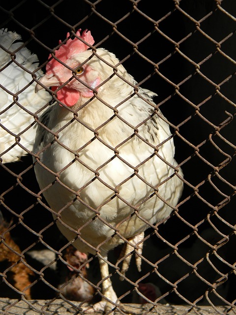 巧妙运用战 巧妙运用战